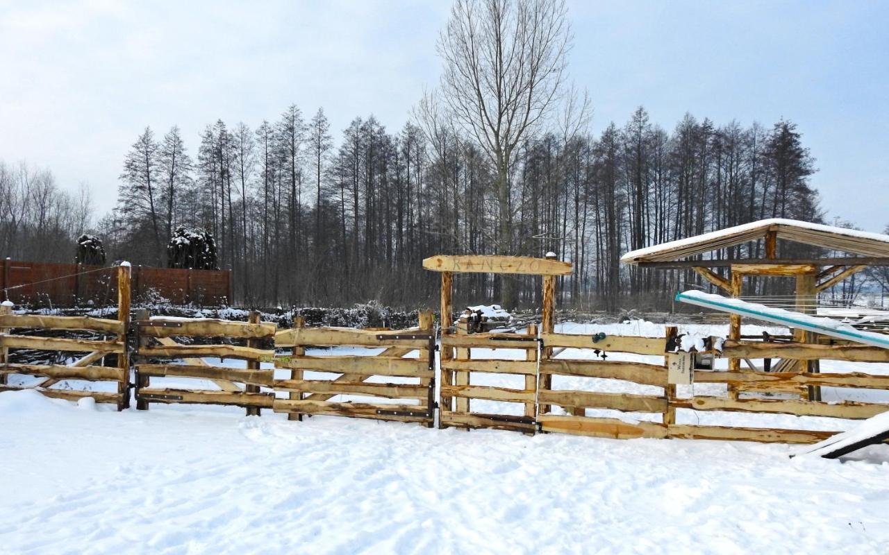 Losinek Долістово-Старе Екстер'єр фото